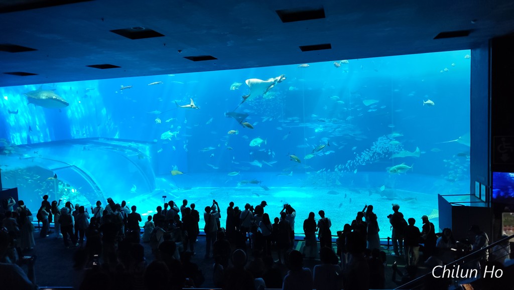 沖縄美ら海水族館